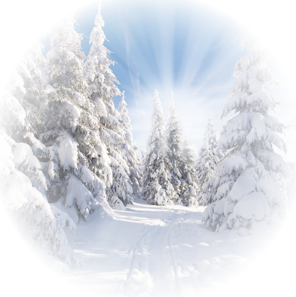 Зимний пейзаж на прозрачном фоне