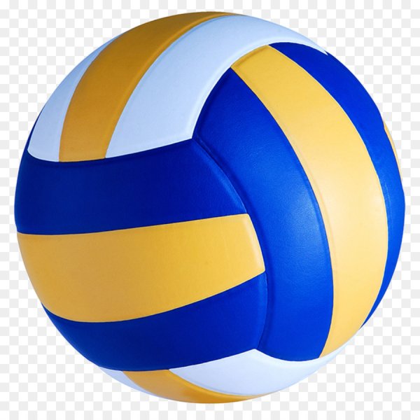 Mikasa Volleyball Ball