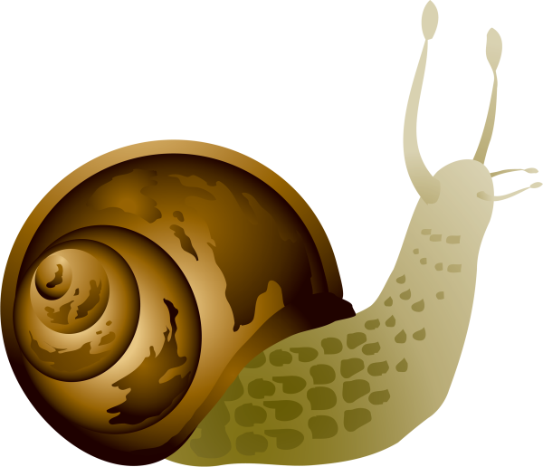 Мультяшные улитки