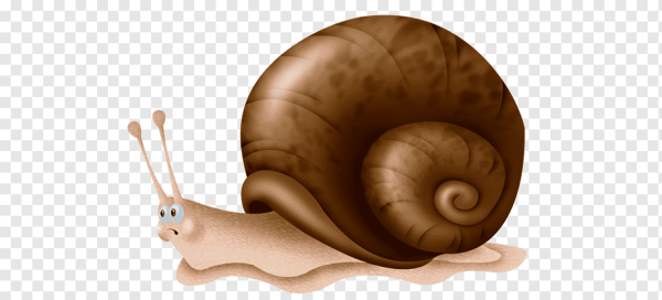 Улитка для детей