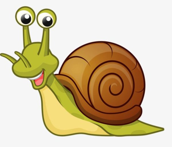 Улитка рисунок