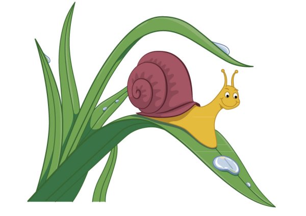 Улитка иллюстрация