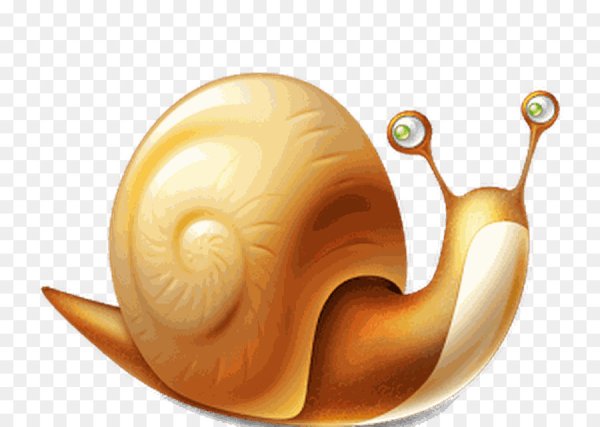 Снейл с улиткой