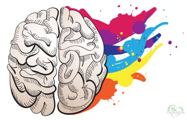 Мозг стилизация