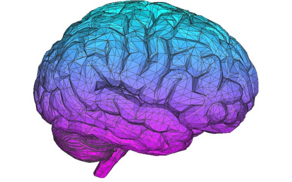 Мозг без фона