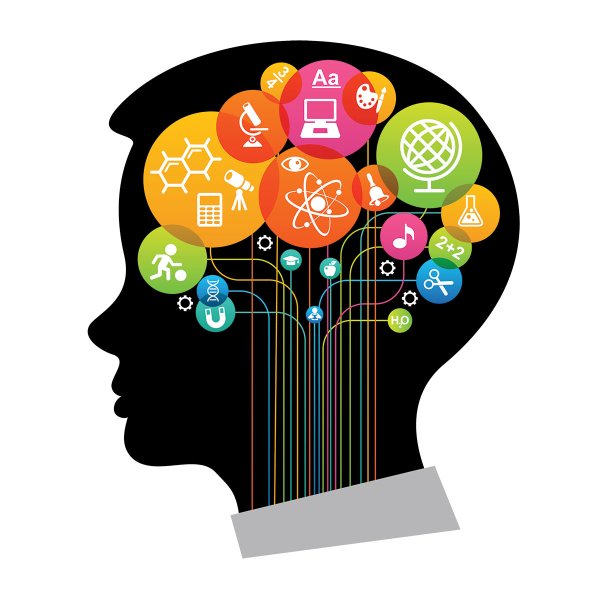 Полушария мозга