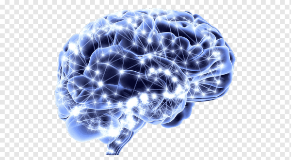 Нейроны мозга