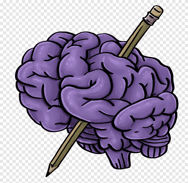 Мозг вектор