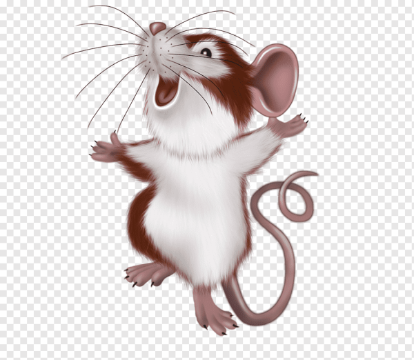 Весёлый мишка