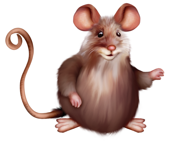 Мышка на прозрачном фоне