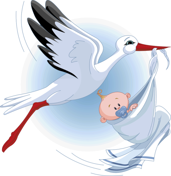 Аист с малышом