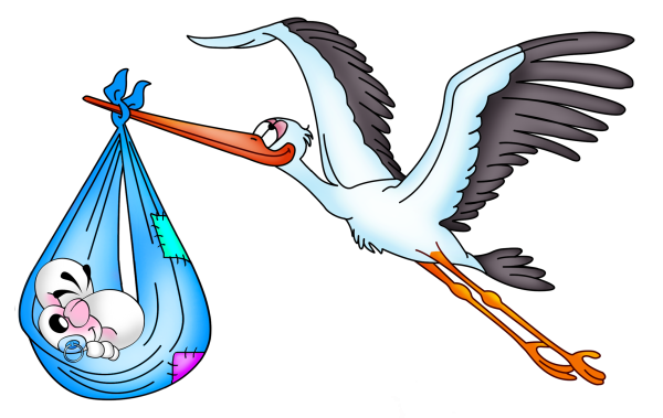 Аист с малышом