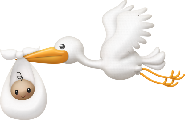 Аист с ребенком на прозрачном фоне