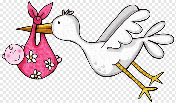 Аист с ребенком