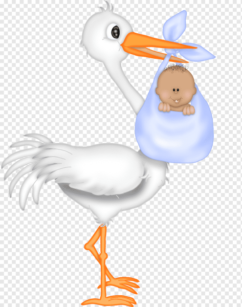 Новорожденный на прозрачном фоне