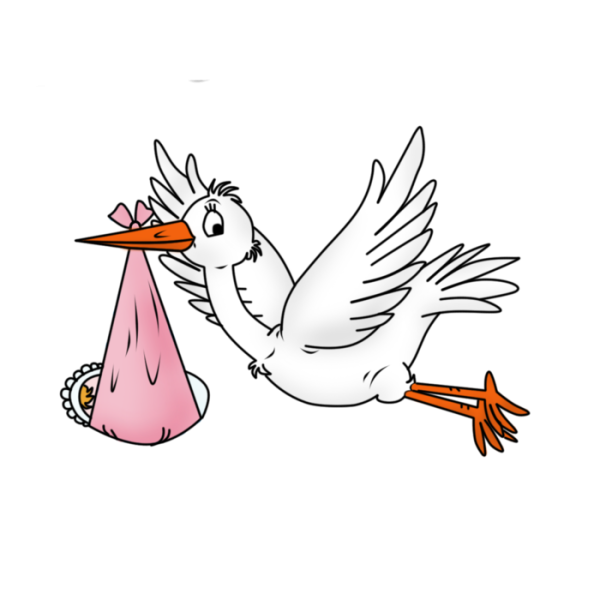 Аист с малышом