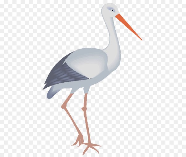 Аист рисунок