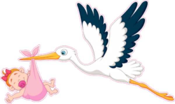 Аист с новорожденной девочкой