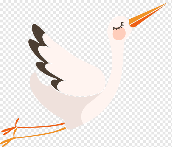 Вектор арт Аист