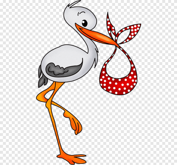 Аист рисунок