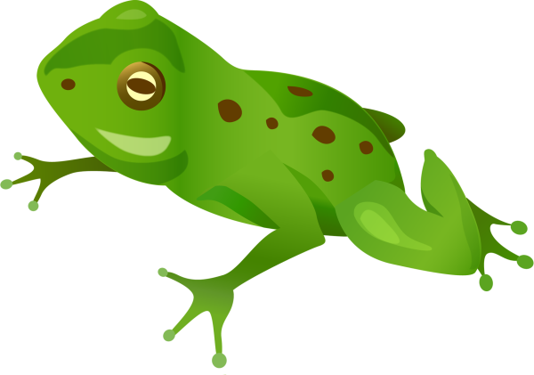 Лягушка рисунок