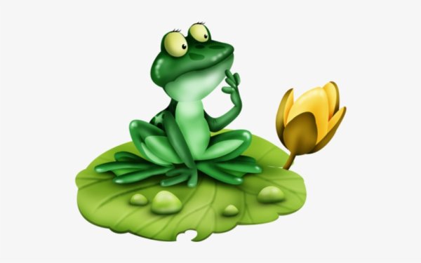 Лягушка на кувшинке