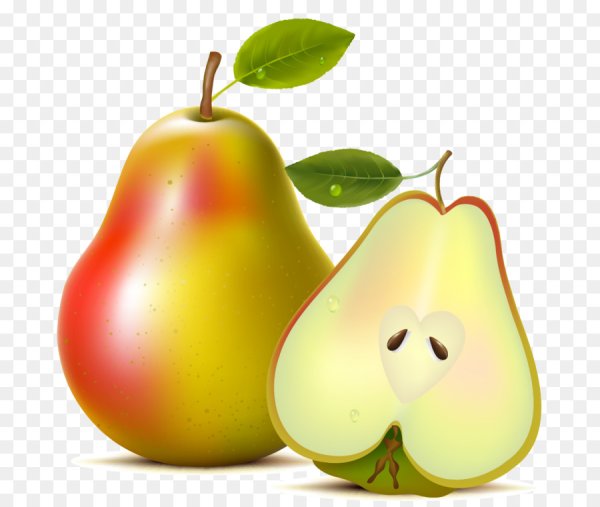 Груша фрукт