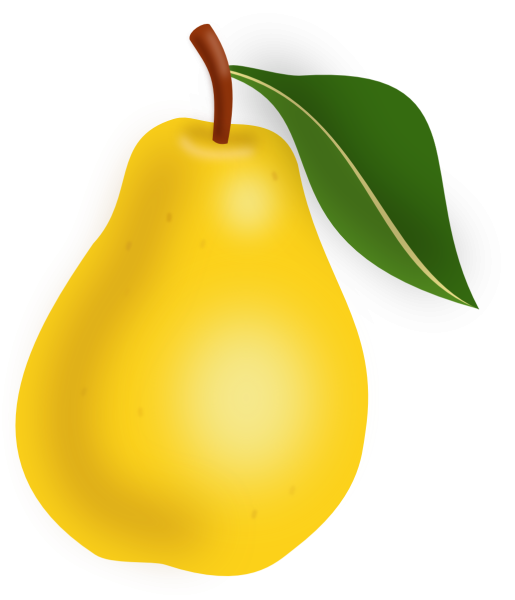 Груша фрукт