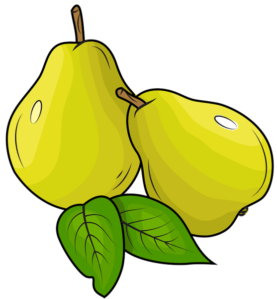 Груша вектор