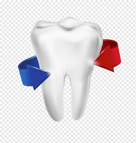 Зуб на белом фоне