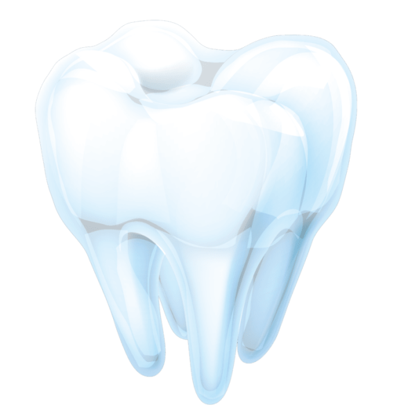 Зуб иллюстрация