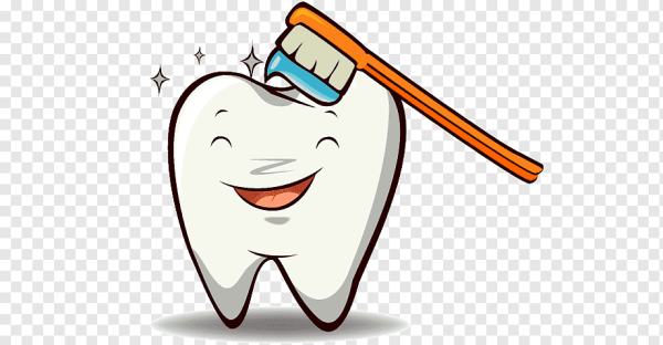 Зуб картинка