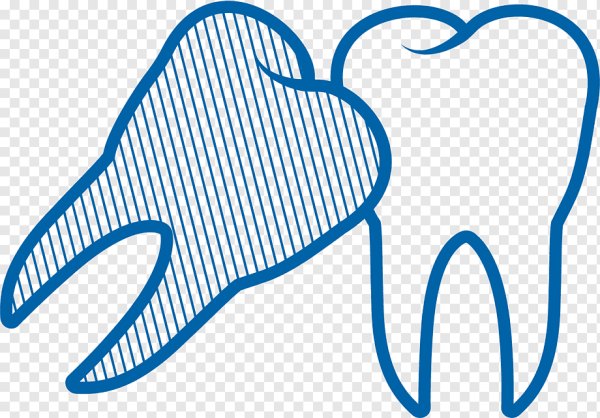 Зуб рисунок без фона