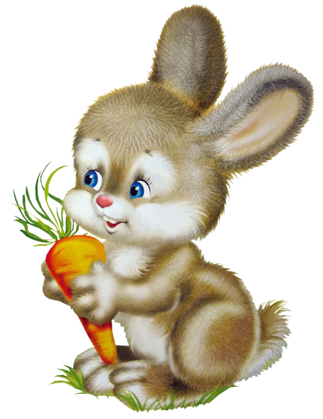 Заяц для детей