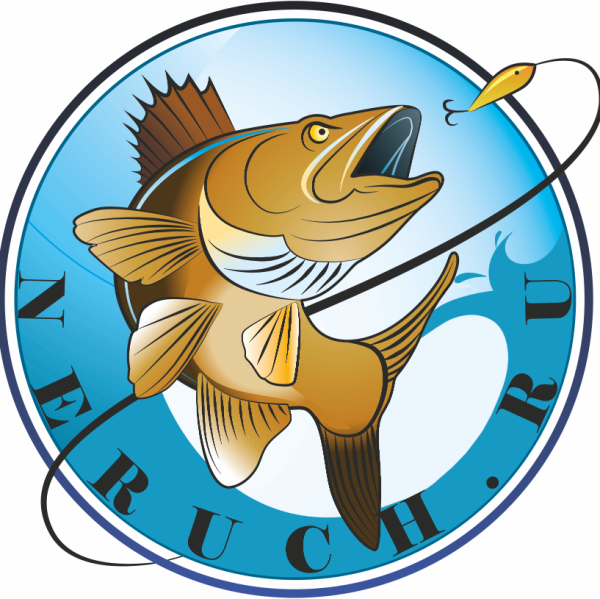 Мальчик поймал рыбу