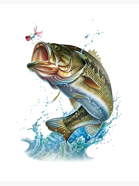 Рыбалка силуэт