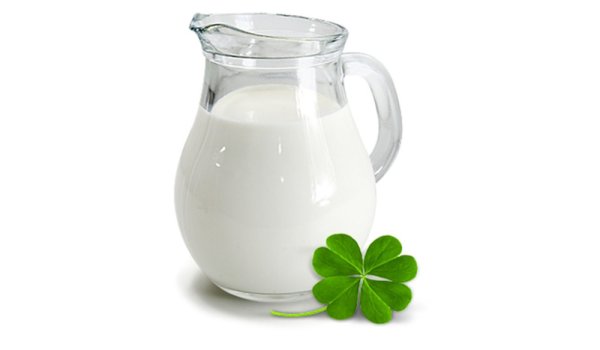 Коробки для упаковки молока