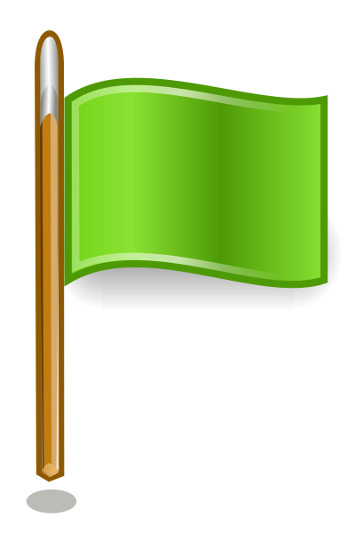 Дети с флажками