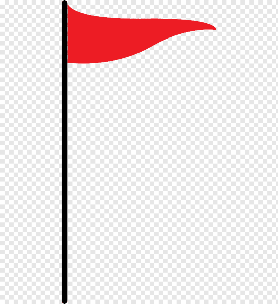 Дети с флажками