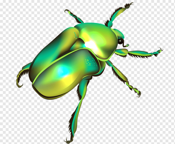 Мультяшные жуки