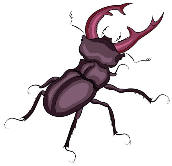 Жук Рогач арт