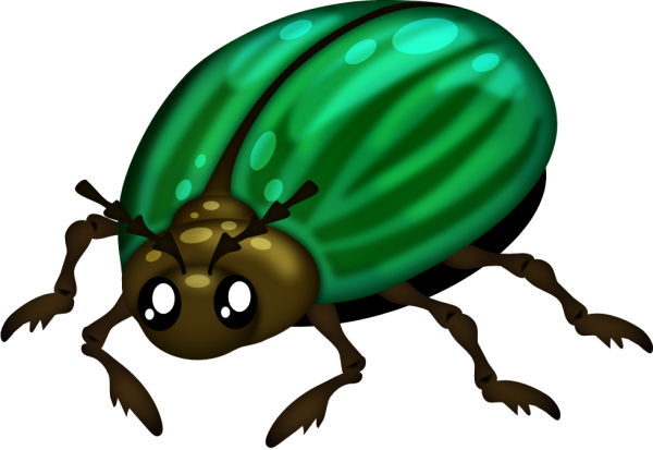 Жук для детей