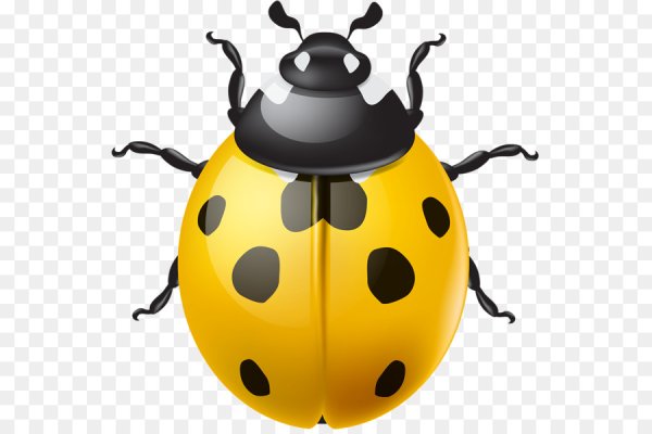 Жук для детей