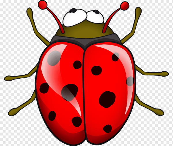 Жук для детей