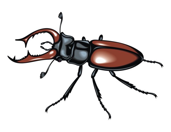 Жук Рогач мультяшный