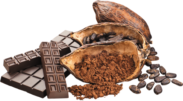 Шоколад с орехами