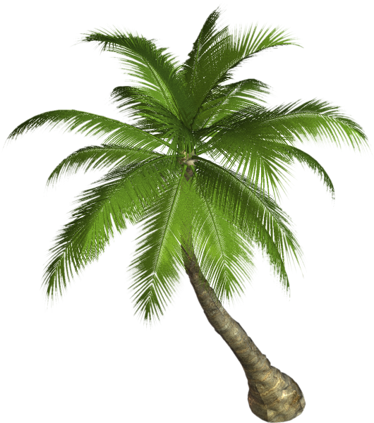 Пальма из Моаны