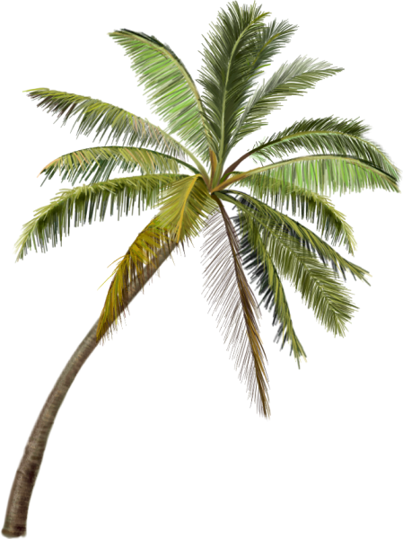 Пальмы остров вектор