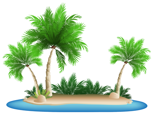 Пальма на прозрачном фоне