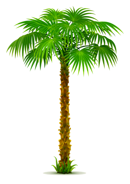 Пальма мультяшная